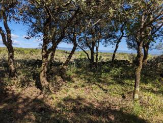 Camping a Grignan dans forêt privée vue Ventoux - Réauville - 6