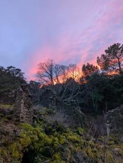 Camping a Grignan dans forêt privée vue Ventoux - Réauville - 3