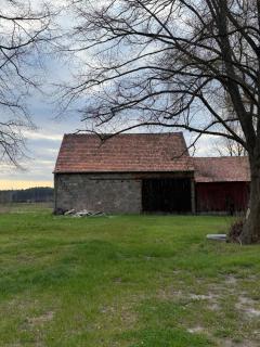 Mams-Cottage-Olivia - - 7