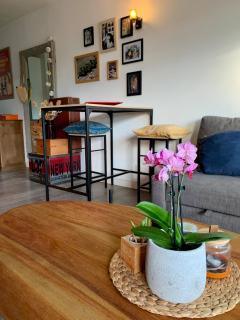 Appartement Cosy verdure et soleil - 1