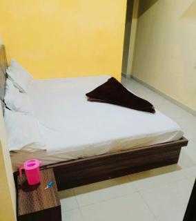 Hotel Priyan-Shi Palace AC OR NON AC ROOM Outstanding Property In Ujjain - Ujjain - 4
