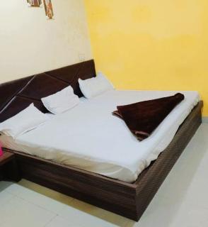 Hotel Priyan-Shi Palace AC OR NON AC ROOM Outstanding Property In Ujjain - Ujjain - 3