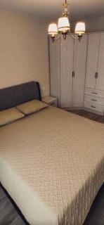 Nijolės apartamentai - Telšiai - 4