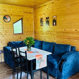 Hill SilENCE MESTIA 1 - 1