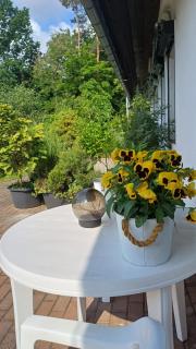 Pension Mark - Hoyerswerda - 9