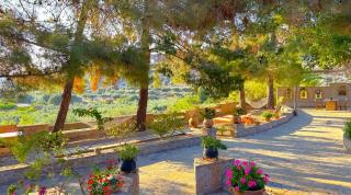 Stella's Traditional Inn - Zakros - 0