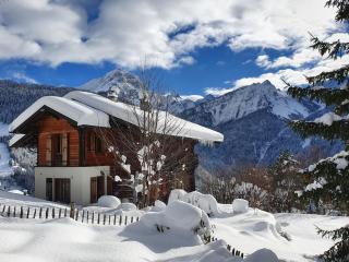 Grand chalet rustique à Gryon, avec vue et cheminée - Gryon - 9