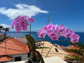 Villa Do Palheiro - Funchal - 6