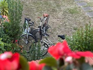 Domus Socolatae Cocoa Journey Tuscan Lifestyle B&B - 4