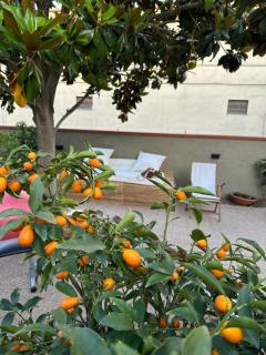 Domus Socolatae Cocoa Journey Tuscan Lifestyle B&B - 6