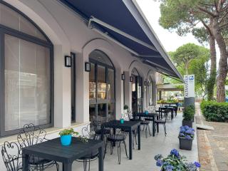 Hotel Altamarea - Misano Adriatico - 9