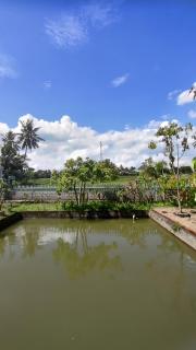 Villa Ataya Bujak Permai - Mantang - 8