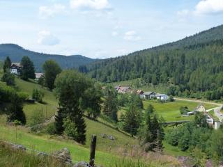 Haus Wiesengrund - Forbach - 7