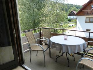 Haus Wiesengrund - Forbach - 3