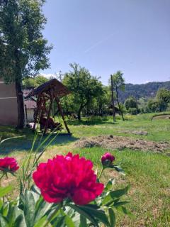 RETREAT CĂSUȚA TRADIȚIONALĂ,Roşia Montana - Roşia Montană - 4