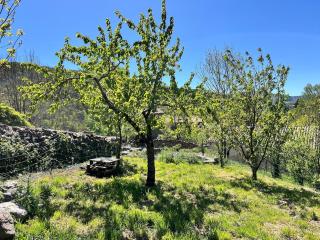 YouMe, petit nid douillet - Aumessas - 9