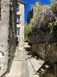 YouMe, petit nid douillet - Aumessas - 7