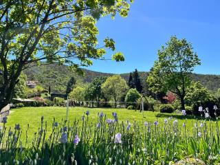YouMe, petit nid douillet - Aumessas - 2