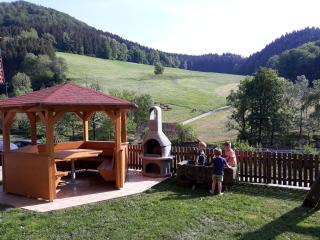 Geigerbauernhof - Mühlenbach - 8
