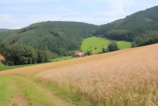 Geigerbauernhof - Mühlenbach - 6