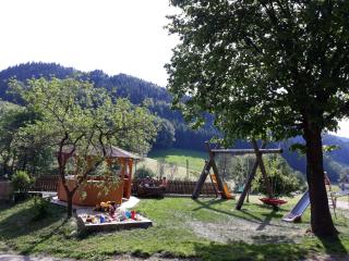 Geigerbauernhof - Mühlenbach - 5