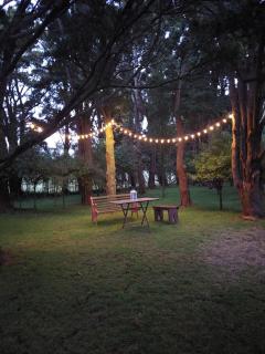 Totara Croft, a stargazers dream - Feilding - 4