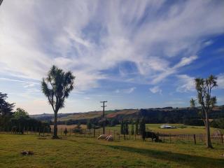 Totara Croft, a stargazers dream - Feilding - 1