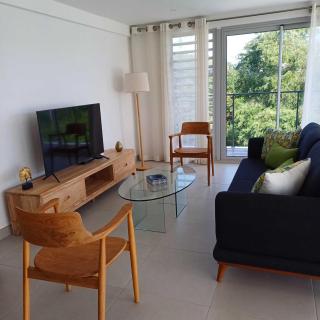 Mont Choisy 2BR Private Rooftop and Plunge Pool - Mont Choisy - 6