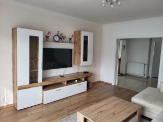 Apartment Karin, Eigener Eingang, 3 Schlafzimmer, Doppelcarport - Langenwang - 7
