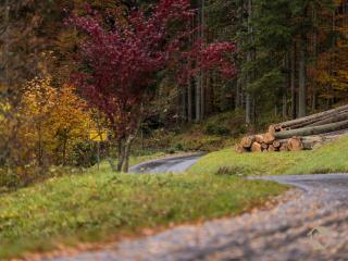 Enri Theater und Pension Bruderhaus - 3