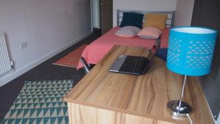 1 BedRoom Ensuite Apartment 100 Apartment Leicester Min 2 weeks - Leicester - 7