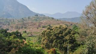 Blue Hills View - Serviced Villa - Vythiri - 0