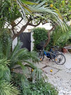 A-Mare - Viareggio - 6