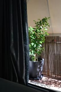 Koukaki Home - Athen - 9