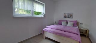 Apartmány U Špilínků-lipensko - Horní Planá - 6