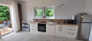 Apartmány U Špilínků-lipensko - Horní Planá - 7