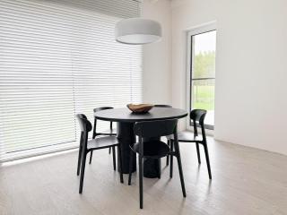 Sea Haus - Modern House in Monciskes - Palanga - 3