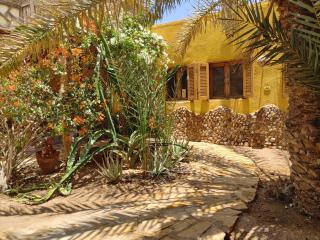 Jillyfish House Dahab - deine Oase in zwei Palmengärten - zentral am 'Lighthouse' - Dahab - 1