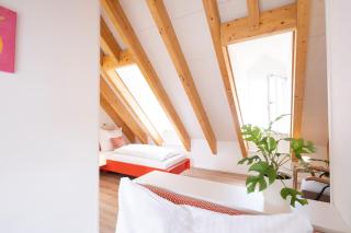Bunter Hund Apartments - ganzes historisches Altstadthaus - 1