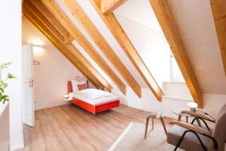 Bunter Hund Apartments - ganzes historisches Altstadthaus - Bamberg - 1