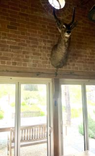 Claydon Courtyard - Southrop - 1