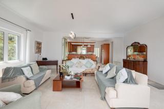 Olive Ηouse, Quiet, Cozy, mountain view, family - Milonianá - 3
