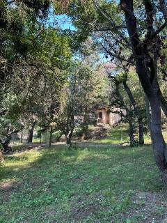 Bungalows Elata - Kranevo - 4
