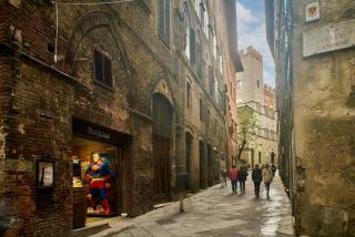 Stylish and Tuscany home great view Piazza Il Campo - Siena - 5