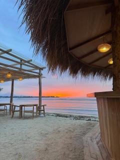 Jungle Gili Air - 1
