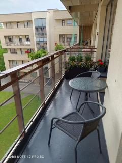 Nelli apartamentai - Druskininkai - 0