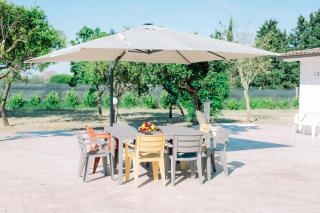 Tenuta Pizzi - San Pietro Vernotico - 1