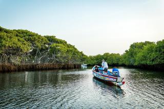 Keur Saloum Resort - Toubakouta - 3