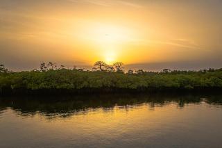 Keur Saloum Resort - 1