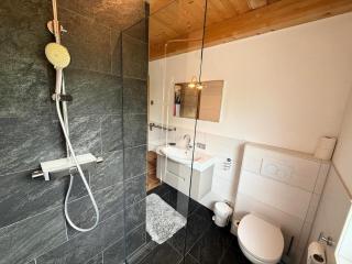Alm Chalet - Au Hochalm - Söll - 2